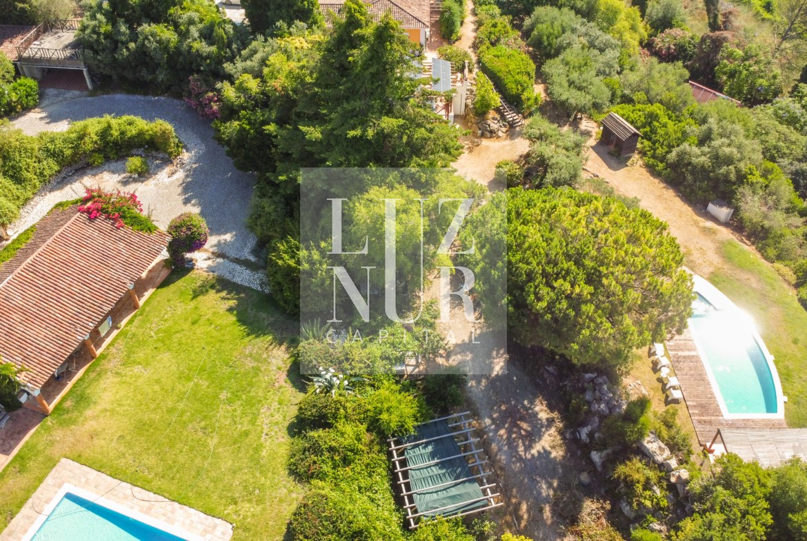 Dji 0021