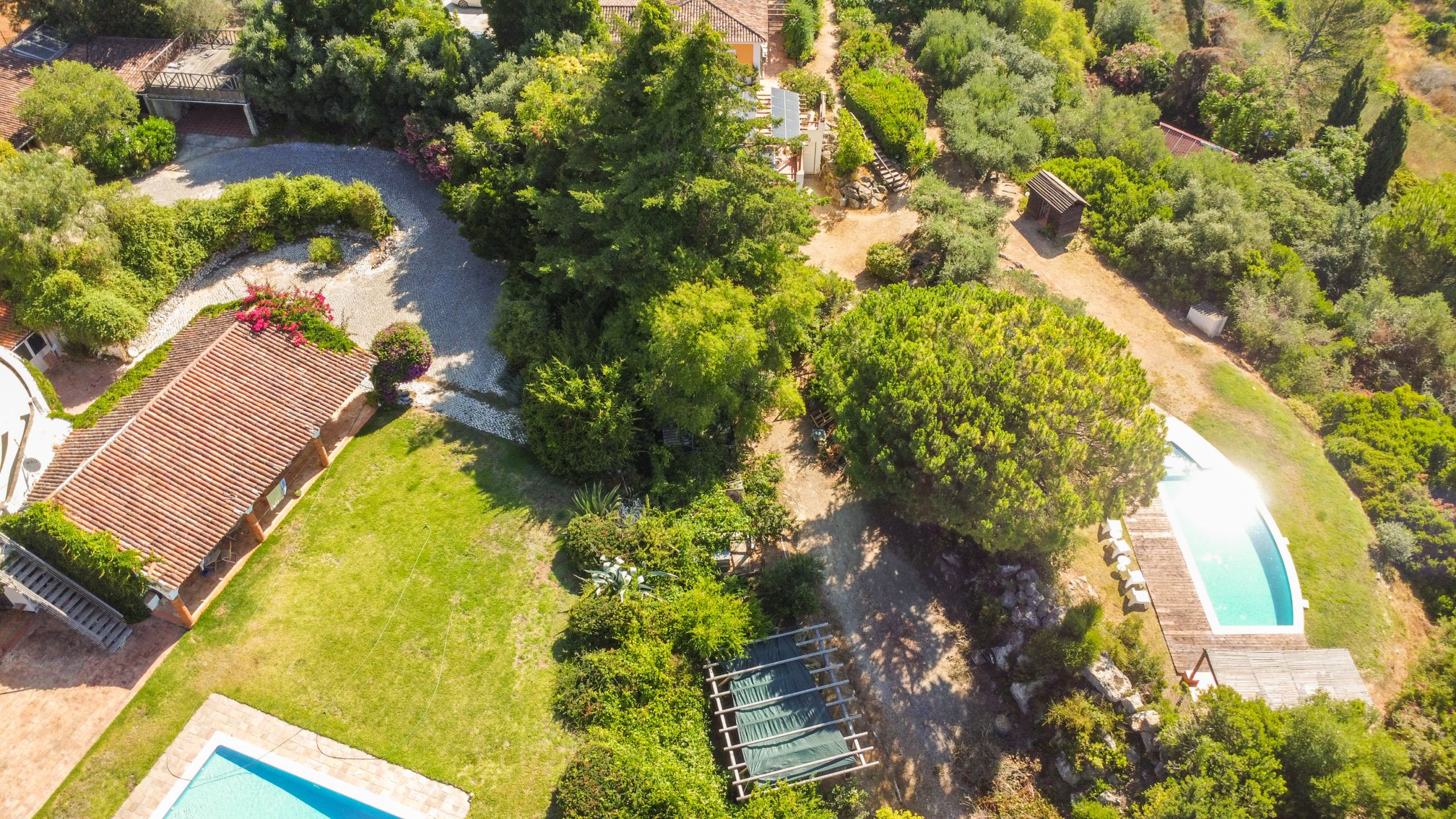 Dji 0021