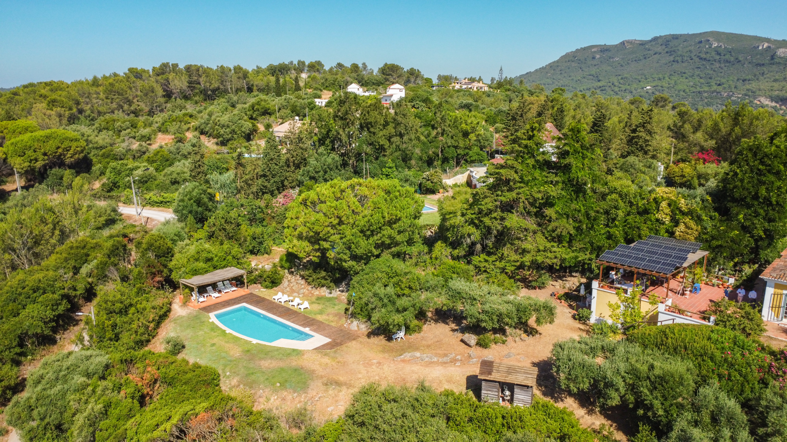 Dji 0039