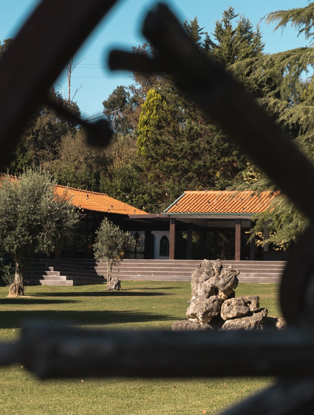 Quinta 6